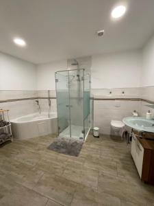 a bathroom with a shower and a tub and a sink at Ferienwohnungen AKH Home in Sankt Wendel