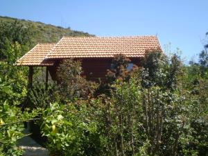 Φυσικό τοπίο κοντά σε αυτό το καταφύγιο