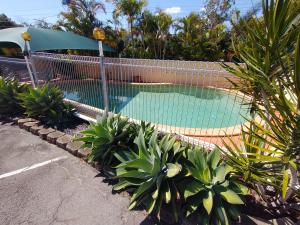 a pool with a fence and a green lawn at Aspley Sunset Motel in Brisbane