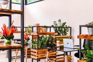 Foto sihtkohas Tamarindo asuva majutusasutuse In the Shade Hotel - Coworking - 300Mbit - Adults Only galeriist