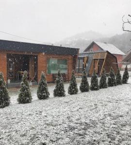 Alexandar house a l'hivern