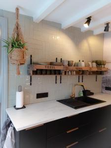 a kitchen with a sink and a counter top at Snurk Texel in Den Burg