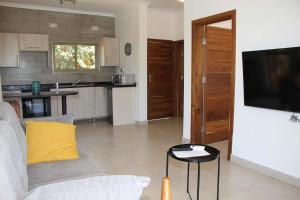 卢萨卡!! The ranch - Superb serviced apartment with garden的客厅里有一张沙发，墙上有一台电视