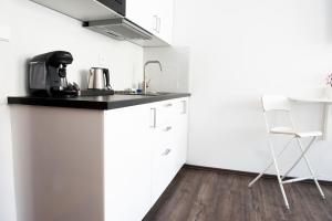 Kuchyň nebo kuchyňský kout v ubytování R&J apartmány