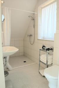 y baño con ducha, lavabo y aseo. en Modernes 5-Sterne-Ferienhaus im Maisonettenstil in DAMP, en Damp