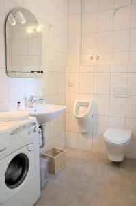 y baño con lavadora y lavamanos. en Modernes 5-Sterne-Ferienhaus im Maisonettenstil in DAMP, en Damp