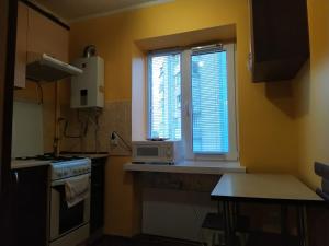トラスコヴェッツにあるApartments Truskavetsの小さなキッチン(電子レンジ付)、窓が備わります。