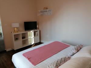 a room with a bed and a tv and a couch at Les Ramandes Appartements au cœur du village in Marcillac-la-Croisille