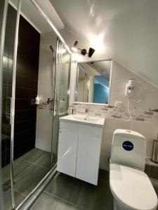 a bathroom with a shower and a toilet and a sink at Marco Polo, Cahul in Cahul +19 photos