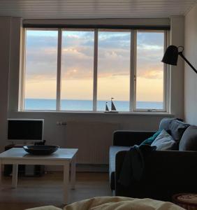 TV a/nebo společenská místnost v ubytování Aa Strand Camping