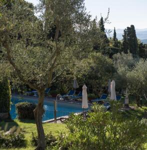 a view of a pool with umbrellas and trees at Tenuta La Bandita in Sassetta