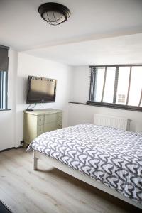 1 dormitorio con 1 cama y TV de pantalla plana en Bed and Wine Nonsolovino en Reeuwijk