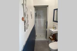 a bathroom with a shower and a toilet and a sink at Garden Room in Hockworthy in Wellington