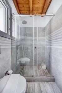 a bathroom with a shower with a toilet and a sink at Belvedere in Livadi