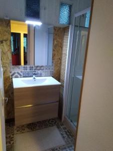 a bathroom with a sink and a shower at Le Veymont in Saint-Martin-en-Vercors