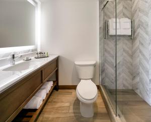 a bathroom with a toilet and a sink and a mirror at Sandcastle Hotel on the Beach in Pismo Beach +40 photos