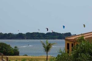 Alice Kite Resort في مارسالا: مجموعة من الطائرات الورقية تتطاير فوق جزء من الماء