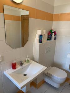 a bathroom with a sink and a toilet and a mirror at Apartmán Alva 3 in Mikulov