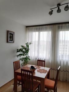 a dining room table with chairs and a plant at Apartman LENA in Arandjelovac