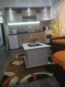 eine Küche mit einer weißen Insel im Wohnzimmer in der Unterkunft Apartman HEDONIJA in Nova Varoš