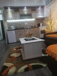Una cocina o kitchenette en Apartman HEDONIJA 32 fotos más