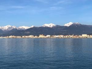 Naturlandskabet i nærheden af lejligheden