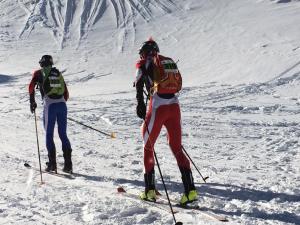 Hosté ubytování PASSAMANÉ PB - Canillo - Casco Antiguo Hut 7787