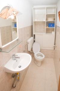 a bathroom with a white toilet and a sink at House Zelanto Mali in Tkon