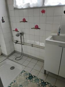 ein Badezimmer mit Dusche und Waschbecken in der Unterkunft Les sables d'or in Agon Coutainville