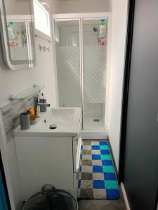 ein Badezimmer mit einem weißen Waschbecken und einer Dusche in der Unterkunft Les sables d'or in Agon Coutainville