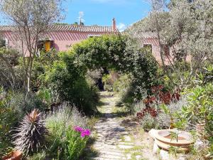 A garden outside La Fattoria Delle Tartarughe
