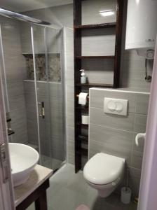 Koupelna v ubytování Apartman Čivović
