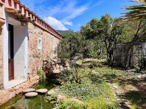 A garden outside La Fattoria Delle Tartarughe