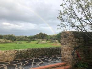 Príroda v okolí of the country house