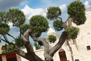 Fotografie z fotogalerie ubytování B&B Fiano Marchione v destinaci Castellana Grotte