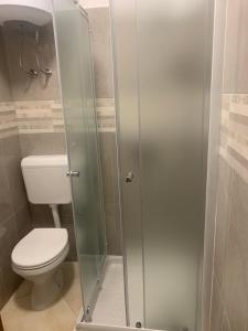 W łazience znajduje się toaleta i przeszklona kabina prysznicowa. w obiekcie Apartman Edin w mieście Umag