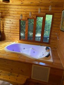 阿卡的住宿－Asbn Magic Garden，木制客房设有窗户,配有大浴缸。