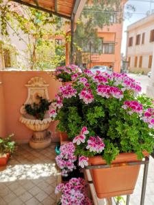 A garden outside Marilyn