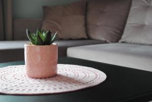 una planta en una olla rosa sentada en una mesa en Rose Apartment en Pärnu