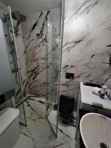 a bathroom with a shower and a toilet and a sink at GOLDEN QUEEN apartments in Juodkrantė +11 photos