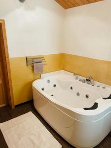 Fotografie z fotogalerie ubytování Uriges Alpen-Apartment Stefan Juen See + 14 fotografií
