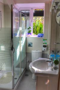 une salle de bain avec une douche, des toilettes et un lavabo dans l'établissement Stone house under Acropolis, à Athènes