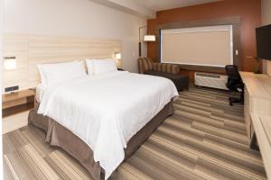 Habitación de hotel con cama grande y TV en Holiday Inn Express Hotel & Suites Logansport, an IHG Hotel en Logansport