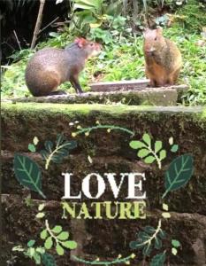 two squirrels sitting on steps with the words love nature at Pousada Beija Flor Centro in Gramado