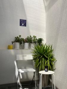 Imagen de la galería de ASV Apartments, en Pineda de Mar