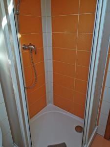 a shower with an orange tiled wall at Apartmány u Hastrmana in Vyšší Brod