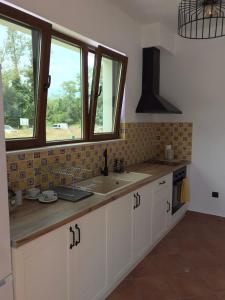 a kitchen with a sink and two windows at Villa Oasis in Lozenets +6 photos