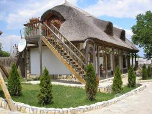 a small house with a thatched roof with a staircase at Casa cu flori Murighiol in Murighiol