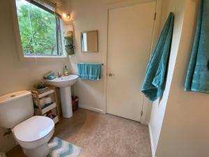 a bathroom with a toilet and a sink at The Willow Guest Suite in Dunedin