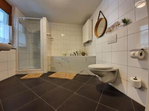y baño con aseo y ducha. en Luxuriöses Galerie-Penthouse direkt am Walensee en Unterterzen